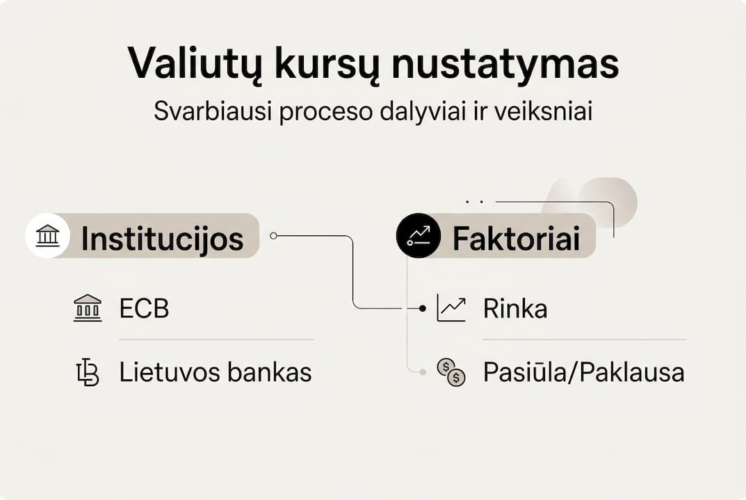 Vizualinė apžvalga, kaip formuojasi valiutų kursai