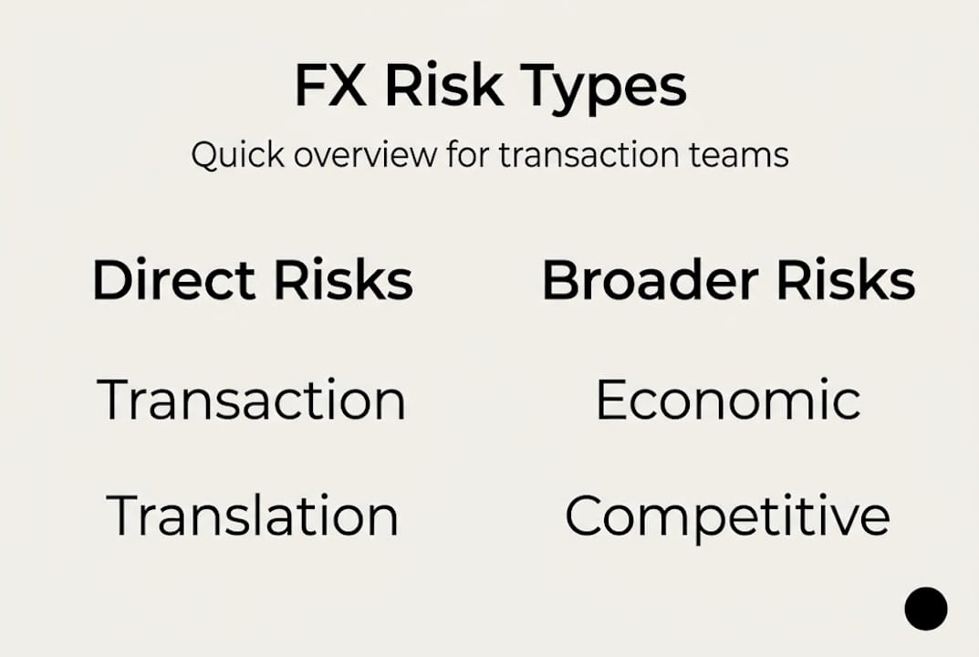 Infographic overview of main FX risk types