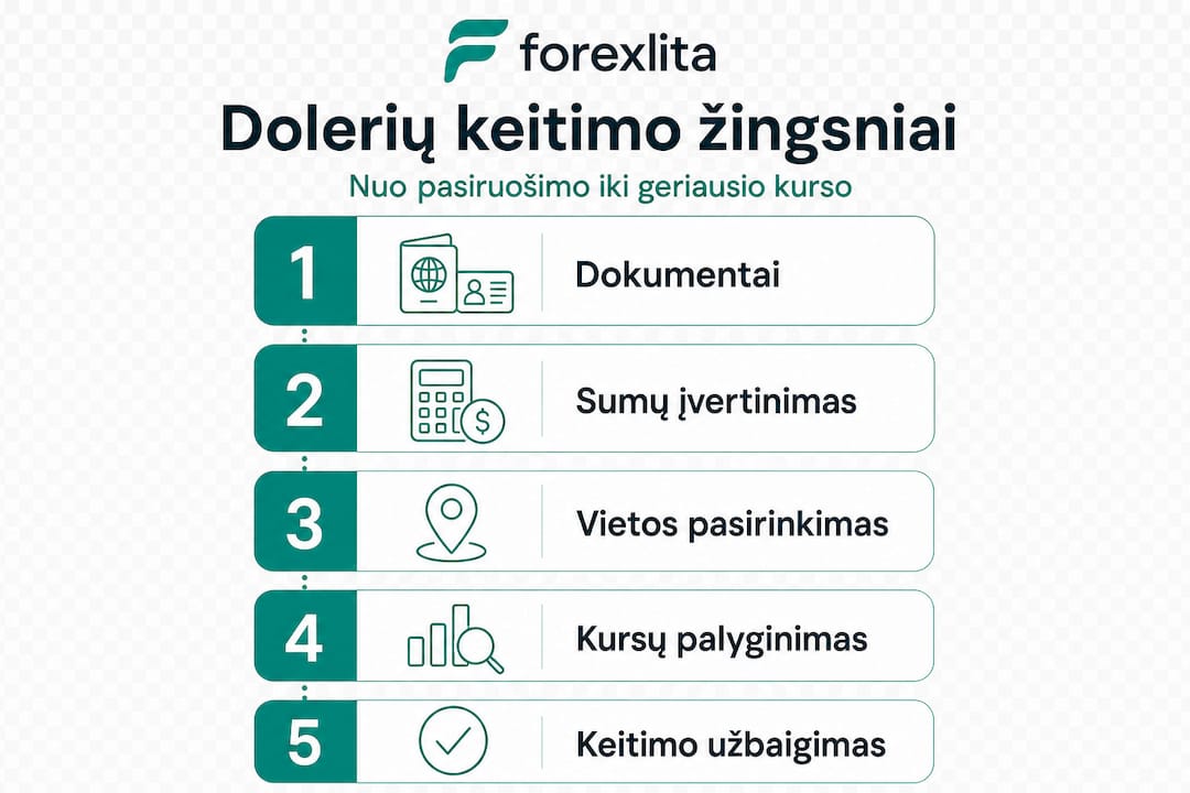 Infografikas: kaip žingsnis po žingsnio keisti dolerius