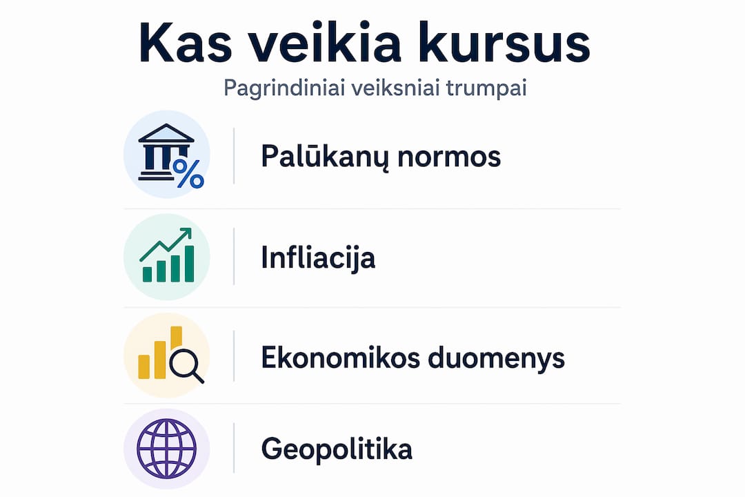 Infografikas: svarbiausi veiksniai, lemiantys valiutų kursų pokyčius