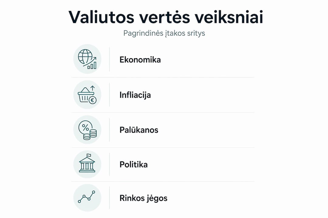 Infografikas: pagrindiniai veiksniai, lemiantys valiutos vertę