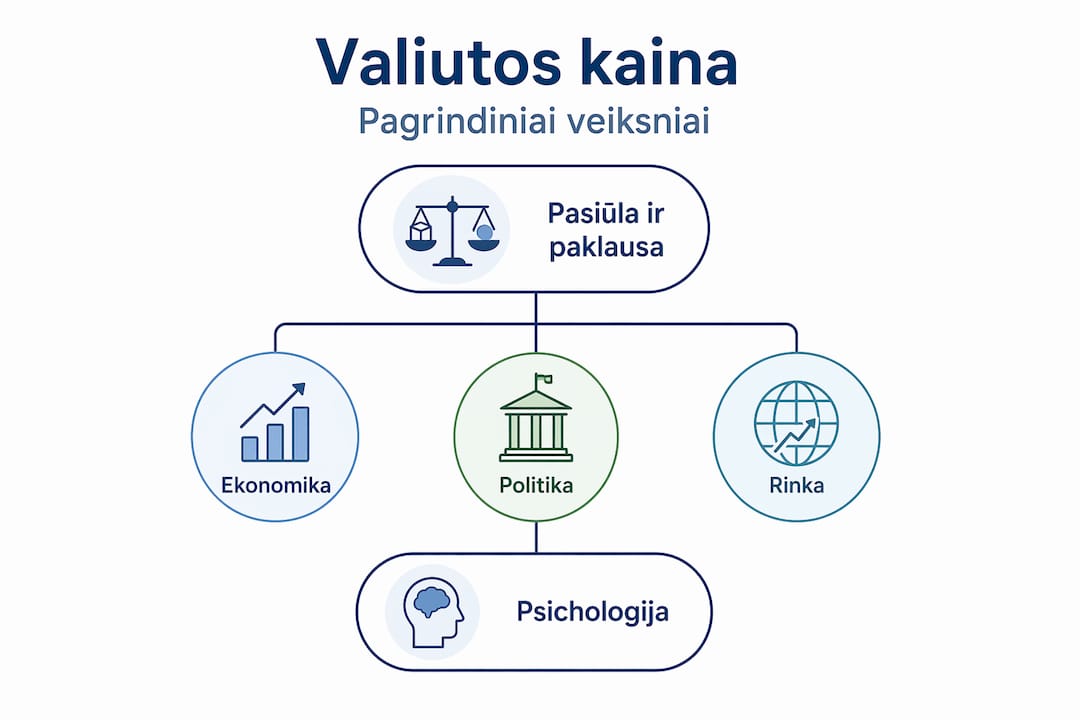 Infografikas: kas lemia valiutų kainų pokyčius?