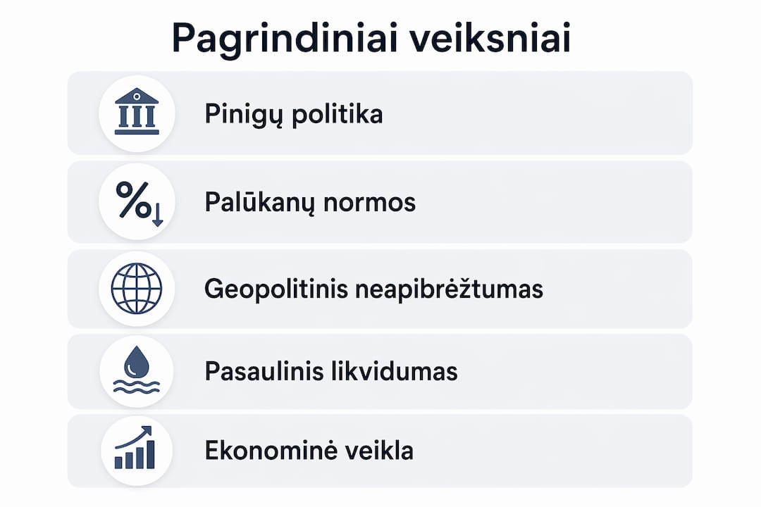 Vizualus pristatymas: kas lemia valiutos pasiūlą?