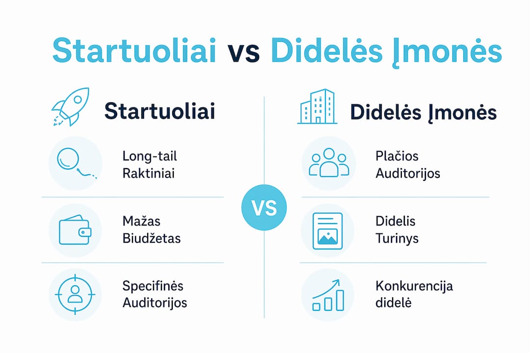 Infografikas: kaip skiriasi SEO strategijos startuoliuose ir stambiose fintech įmonėse