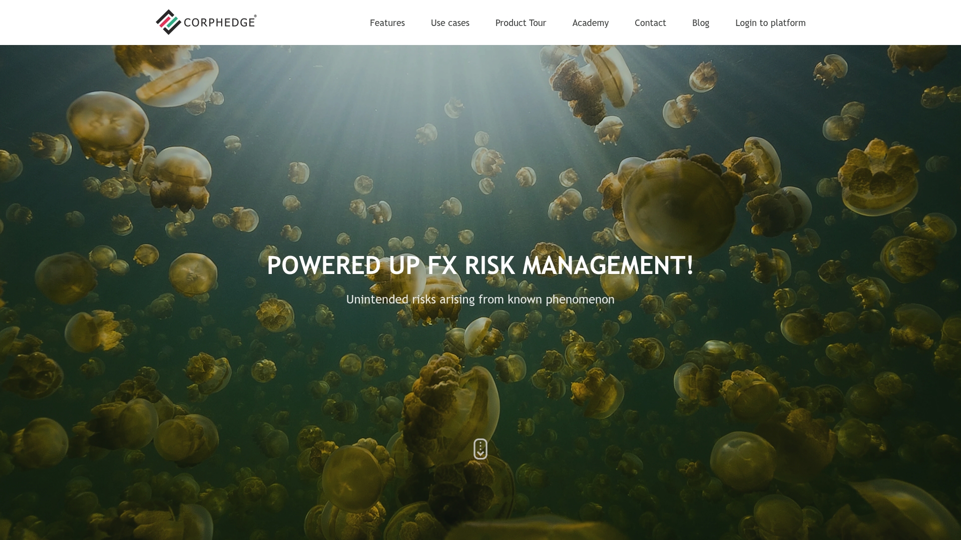 https://corphedge.com