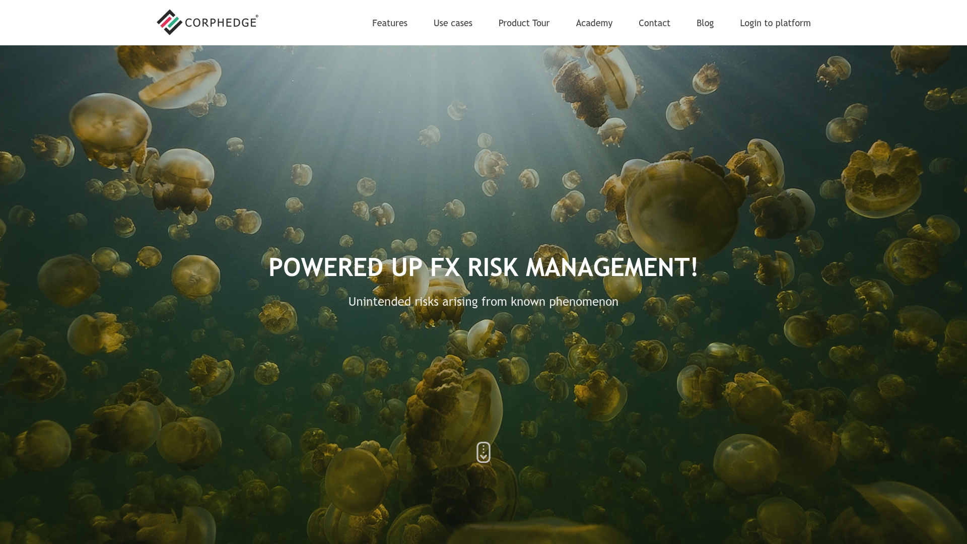 https://corphedge.com