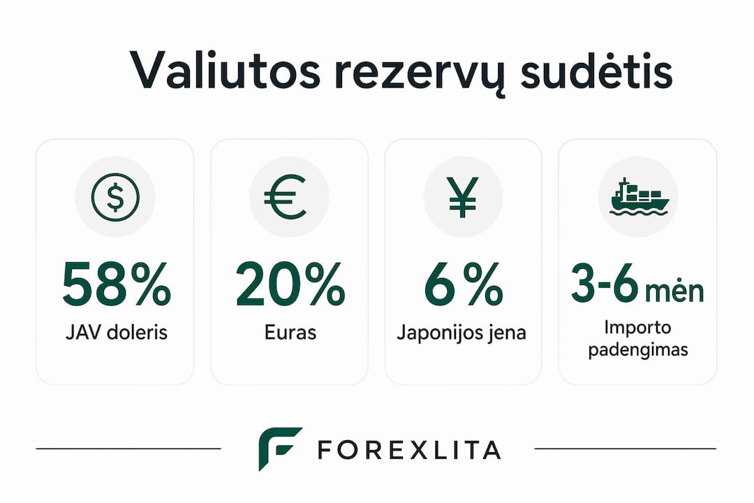 Vizualiai pateikiamas valiutų rezervų struktūros ir jų reikšmės apžvalga