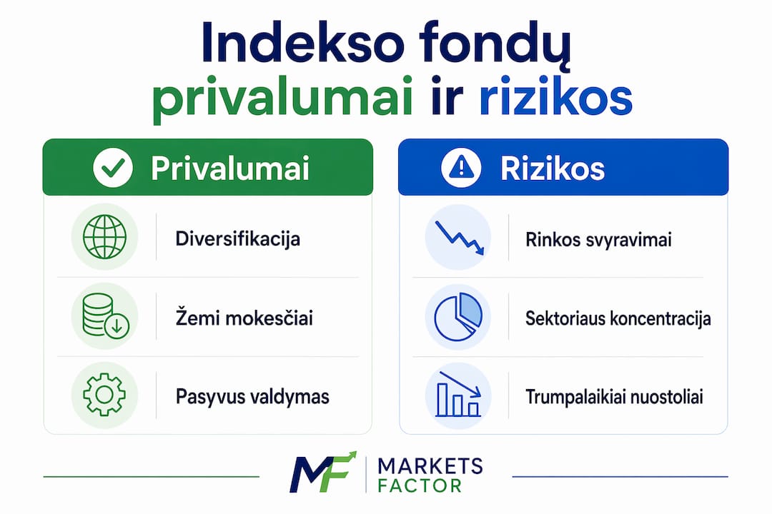 Vizualus gidas: kas naudinga ir ko reikia saugotis investuojant į indeksų fondus
