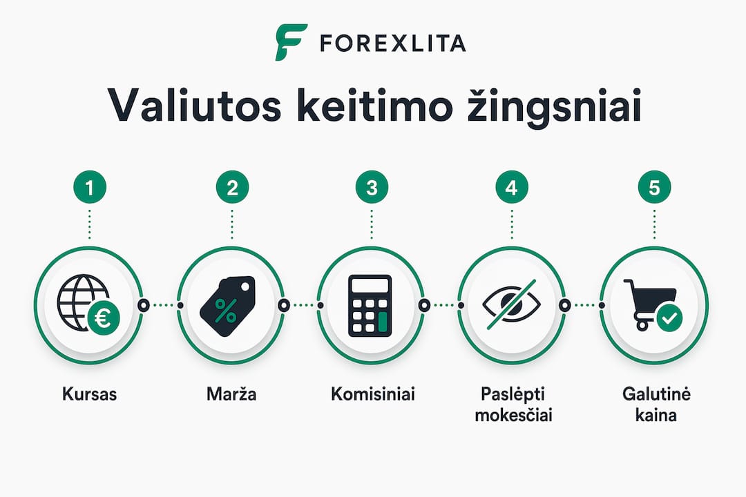 Vizualus gidas apie valiutos keitimo mokesčius