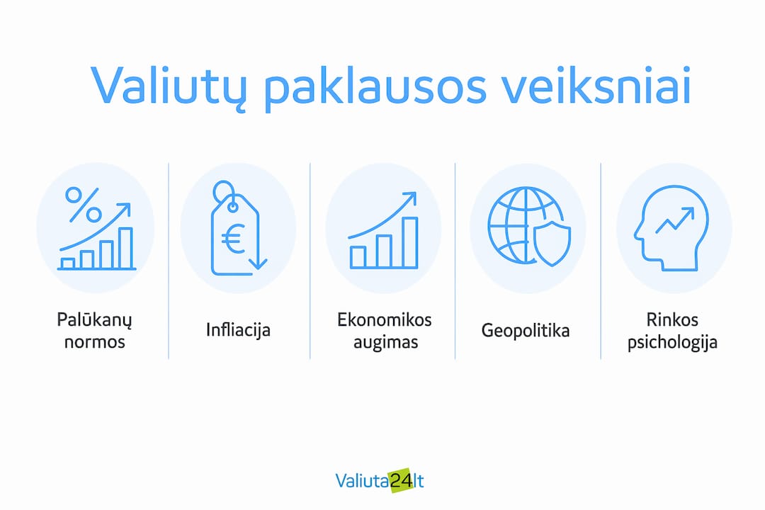 Infografikas: kokie veiksniai lemia didžiausią valiutų paklausą?