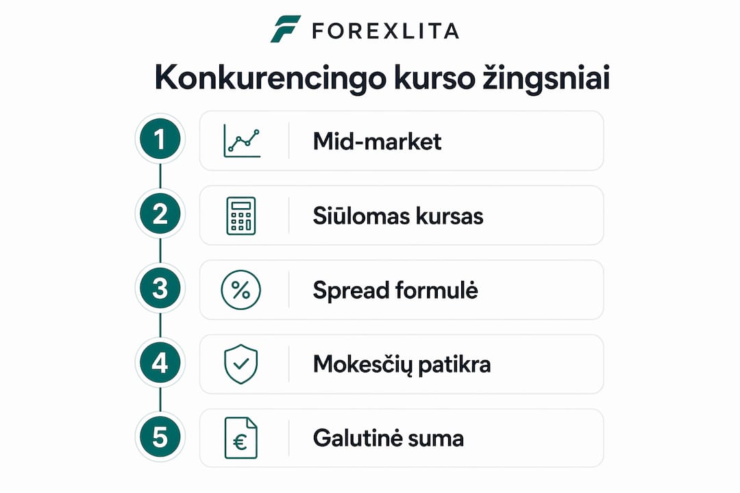 Vizualiai pateiktas valiutos kurso nustatymo procesas: pagrindiniai žingsniai ir svarbiausi aspektai.