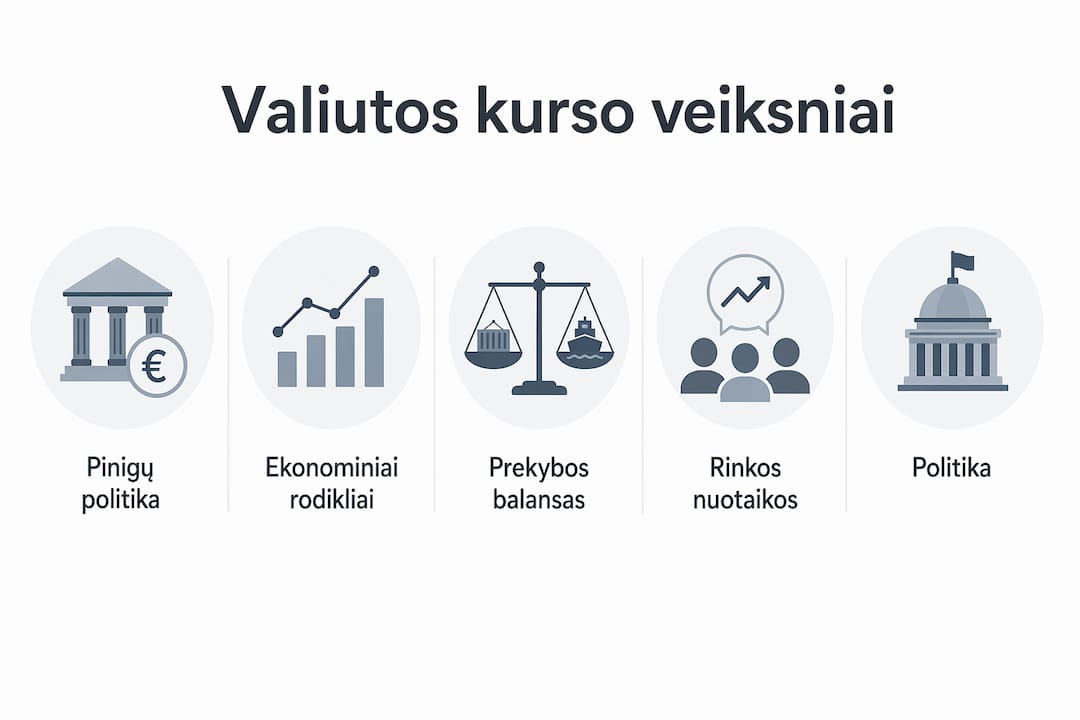 Hierarchinė schema, atskleidžianti pagrindinius valiutų kurso formavimosi veiksnius