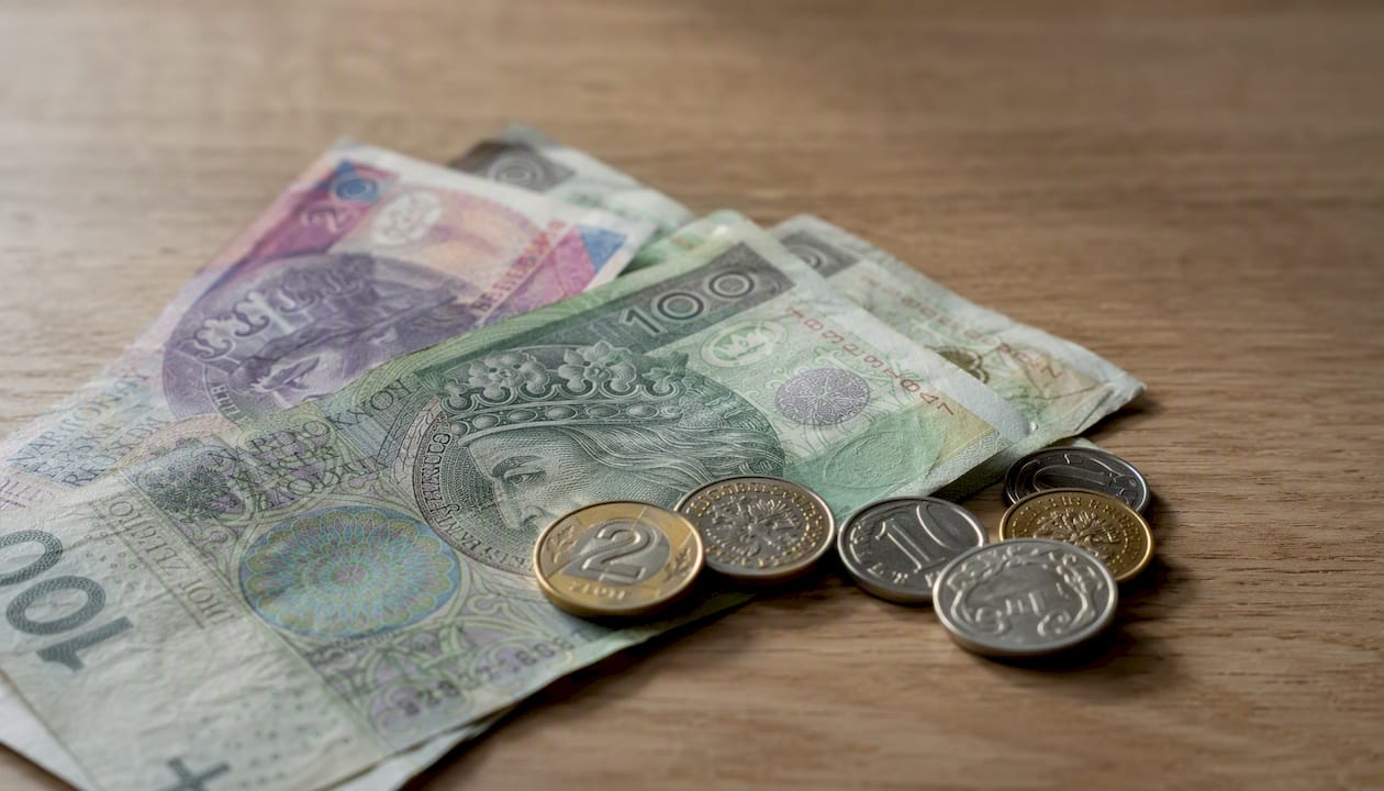Lenkijos zlotų banknotai ir monetos iš arti – detalus žvilgsnis į kaimyninės šalies valiutą.