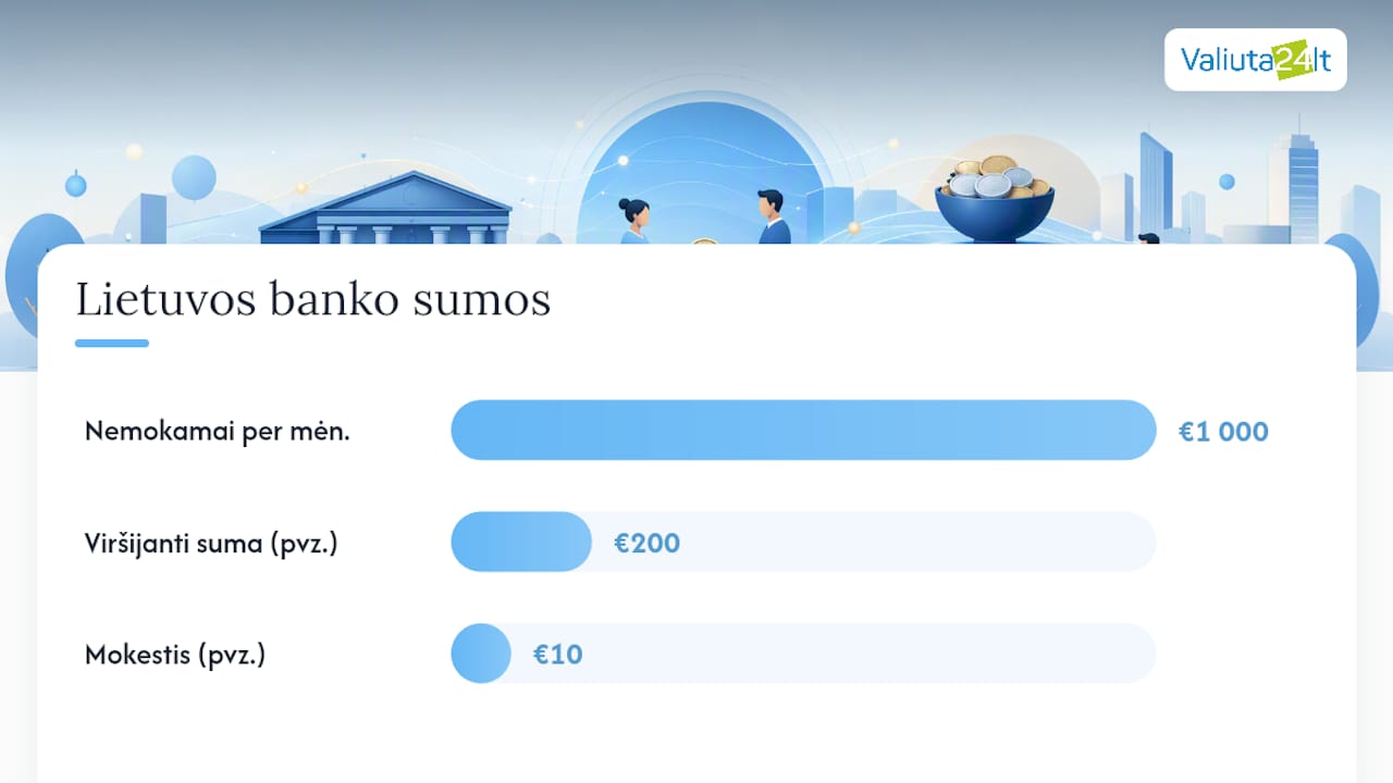 Kokie limitai ir mokesčiai galioja? — overview diagram