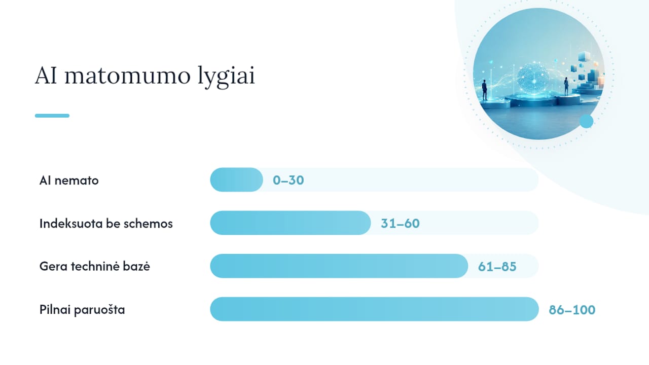 Kaip atlikti AI matomumo auditą žingsnis po žingsnio? — overview diagram