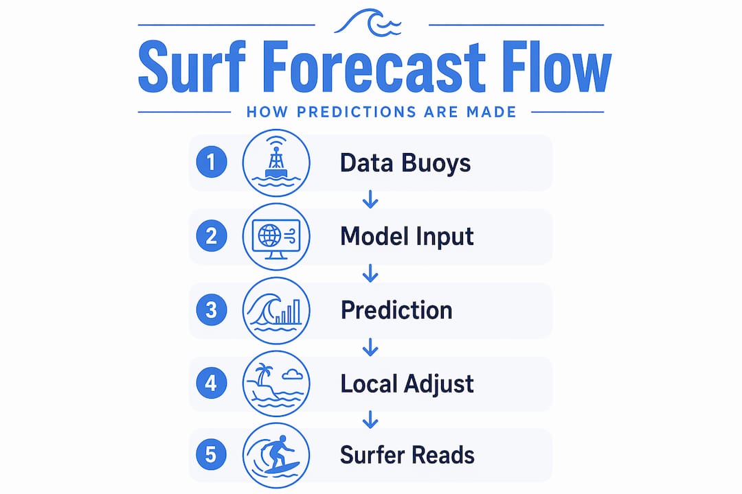 Infographic steps: surf forecasting to surfer use
