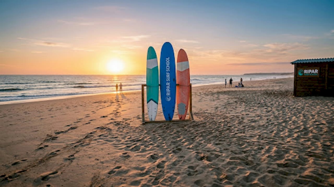 Surfboards standing on beach at sunrise