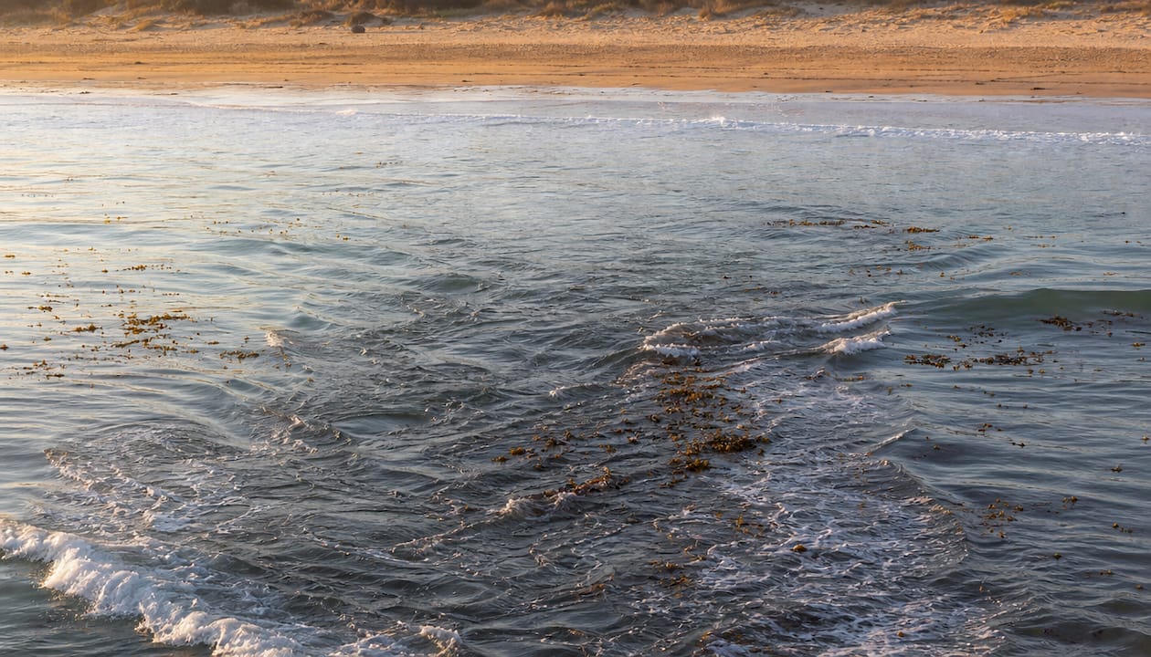 Close-up ocean view showing rip current signs