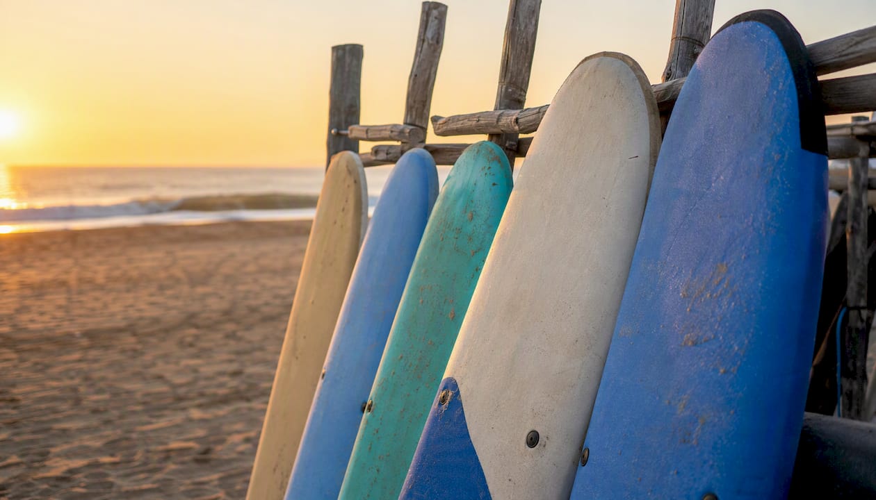 Foam soft-top beginner surfboards on rack