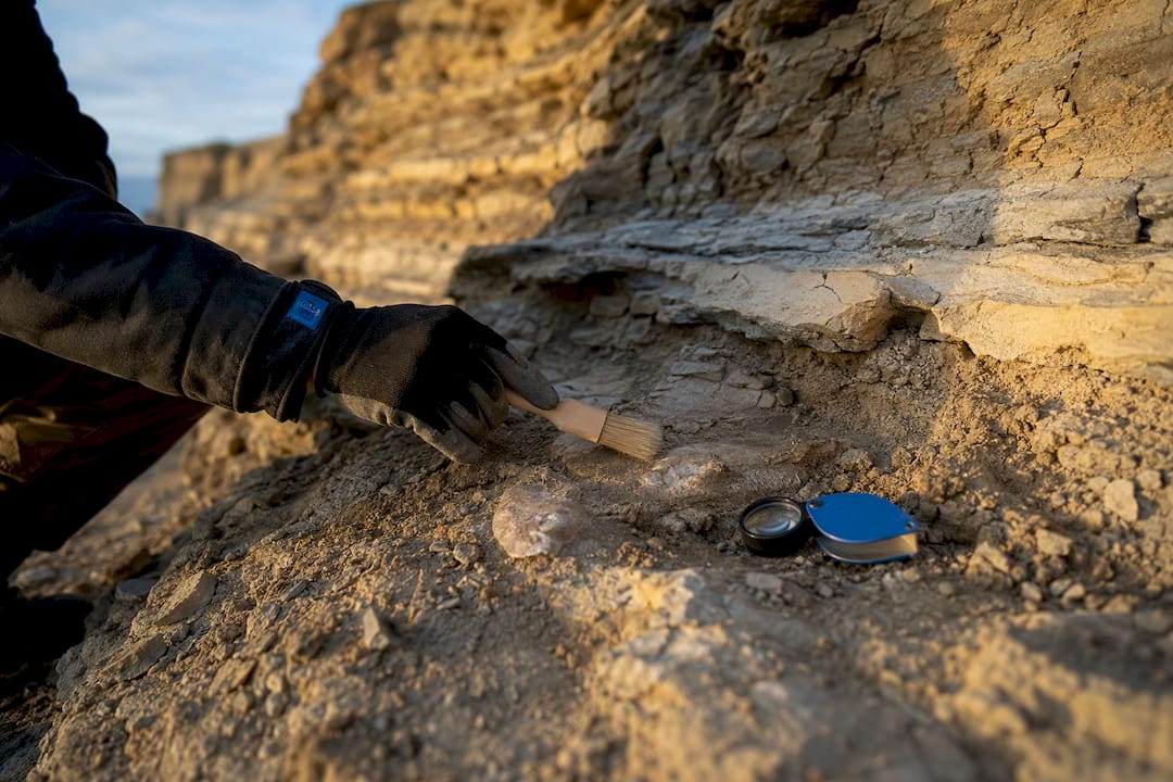 Geologist examining Jurassic rock layers