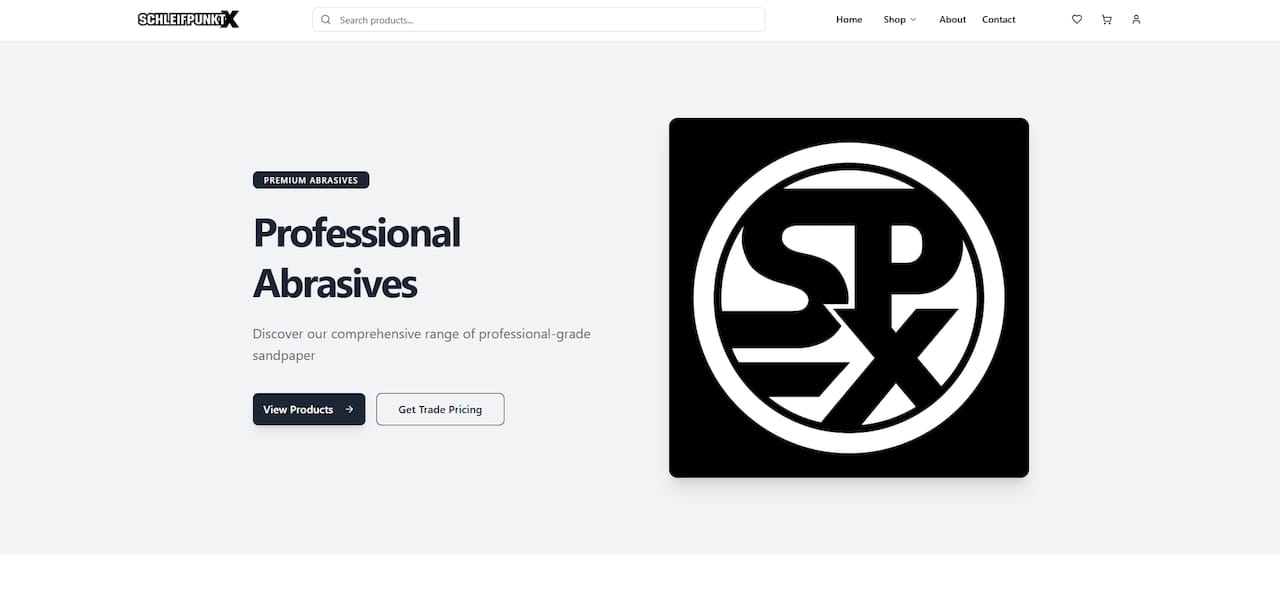 Auto detailer polishing car paint correction