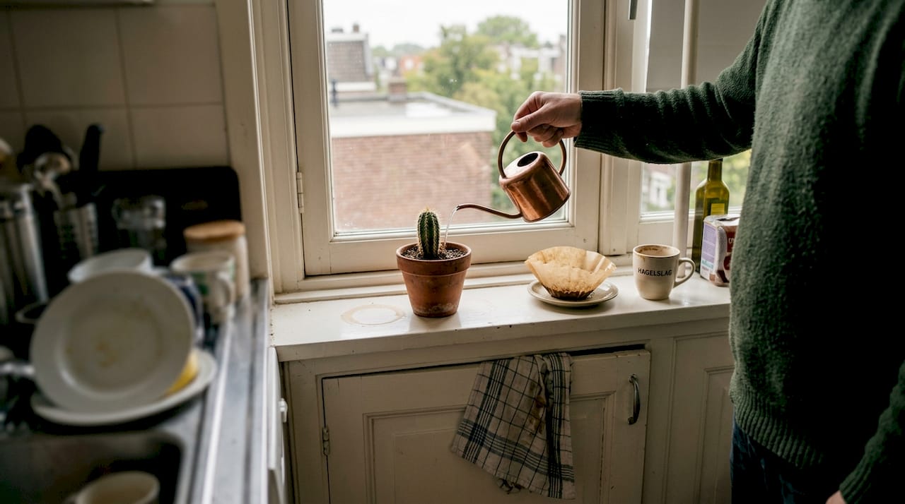 Een man geeft zijn cactus op de vensterbank in de keuken wat aandacht.