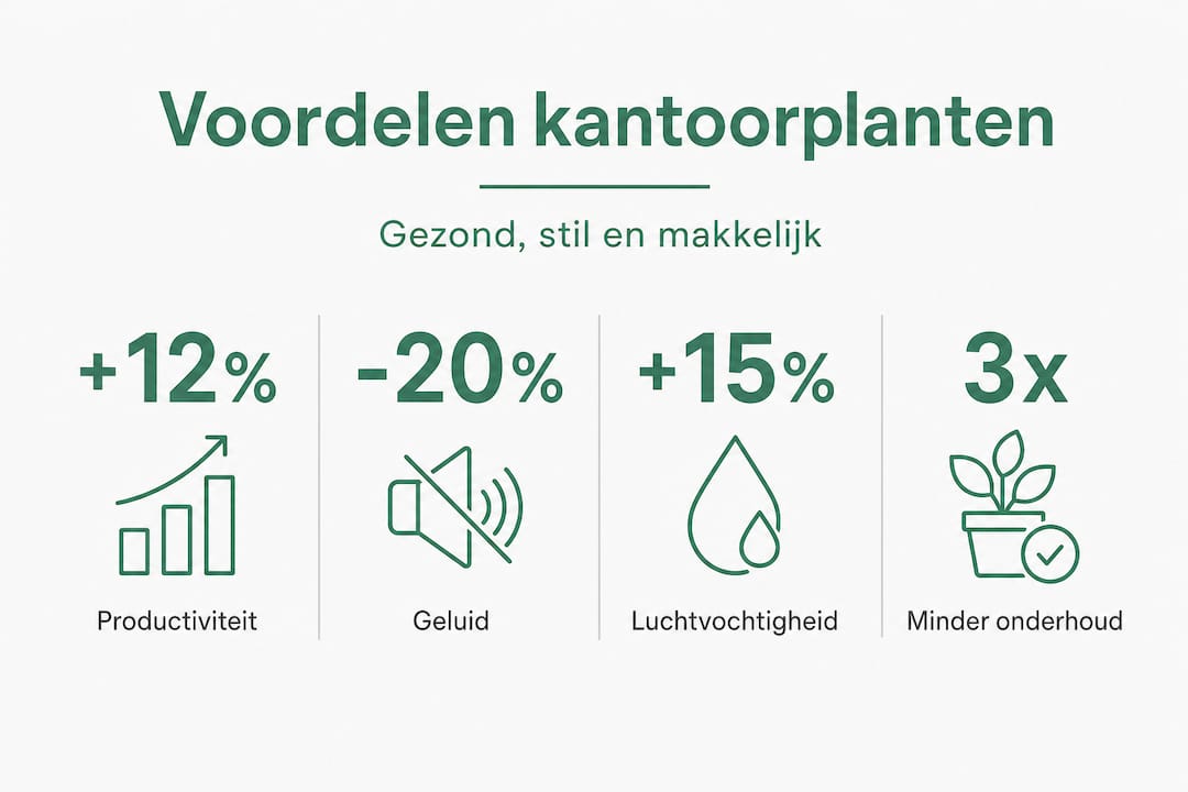 Infographic: de grootste pluspunten van planten op kantoor