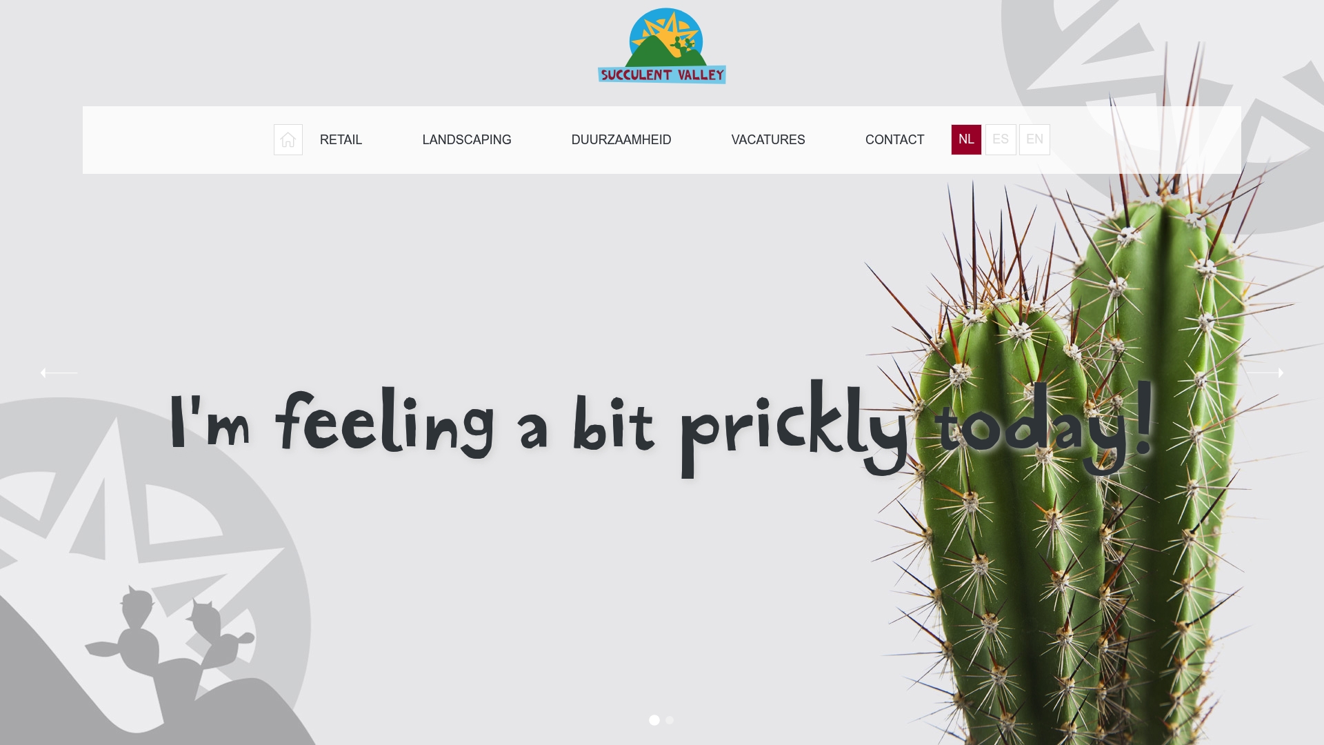 https://succulentvalley.nl