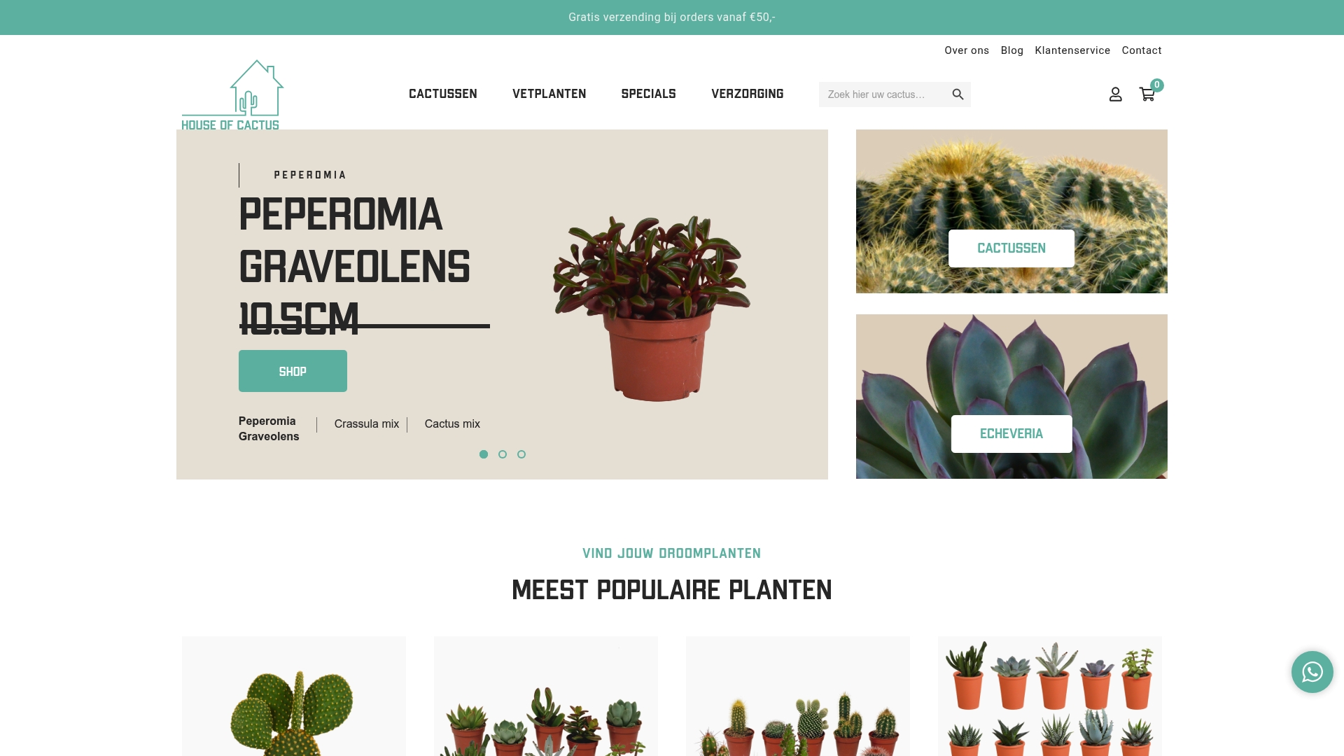 https://houseofcactus.nl