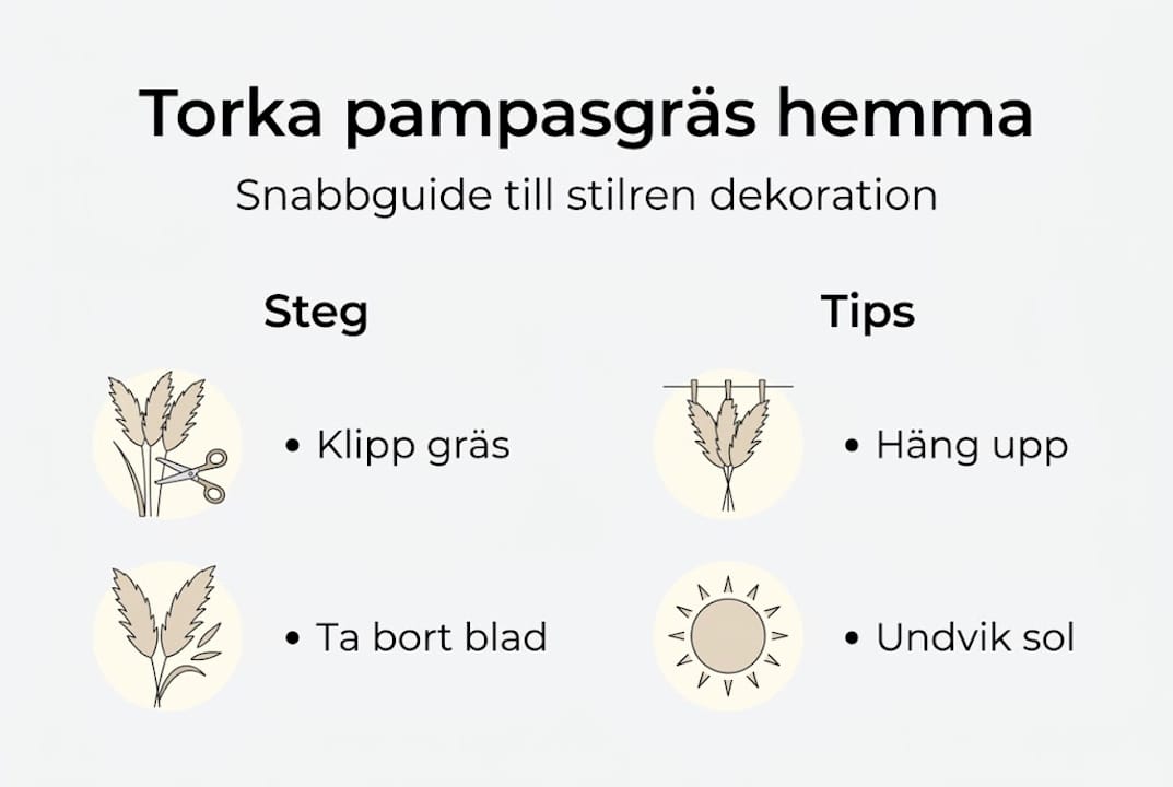 Guide: Så torkar du pampasgräs – smarta knep och steg för steg