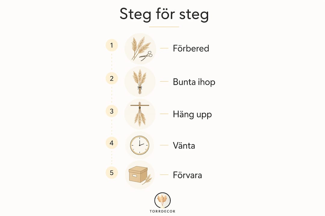 Infografik: Så torkar du blommor med lufttorkning – enkel steg-för-steg-guide
