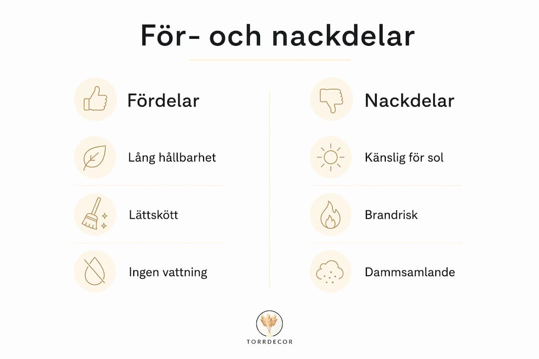 Infografik: Fördelar och nackdelar med buketter utan vatten
