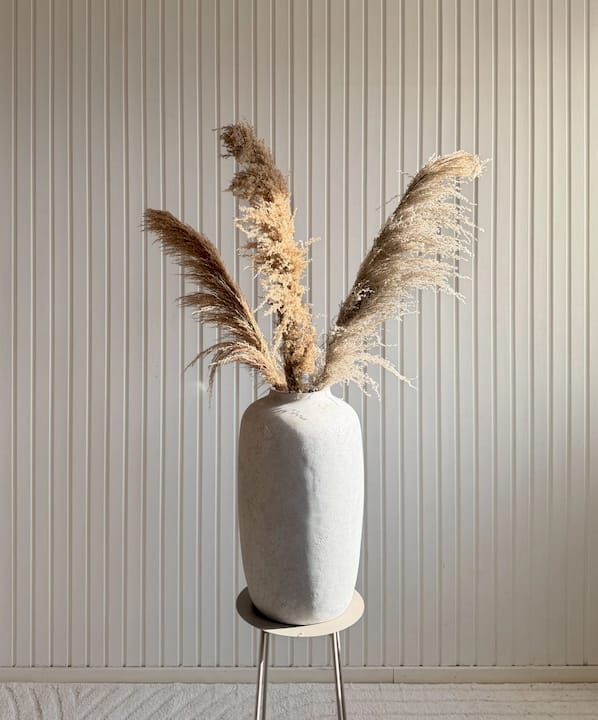 Pampasgräs 'VILDA' 110cm