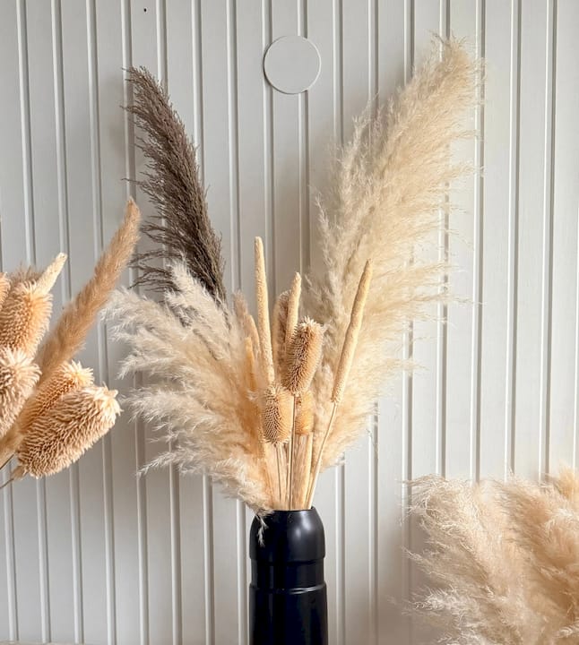 Pampas Mixbunt 'ÖKEN'
