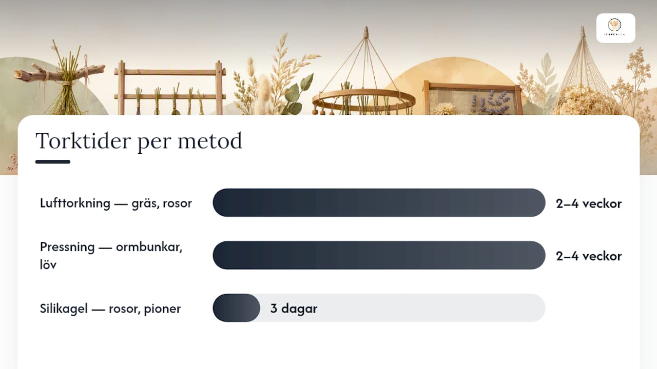 Översikt: jämförelse mellan tre olika metoder för att torka växter