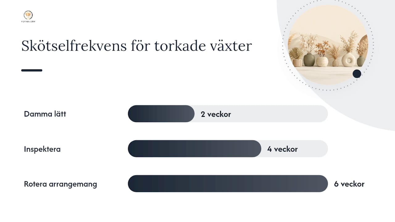 Vad kräver torkade växter egentligen för skötsel? — overview diagram