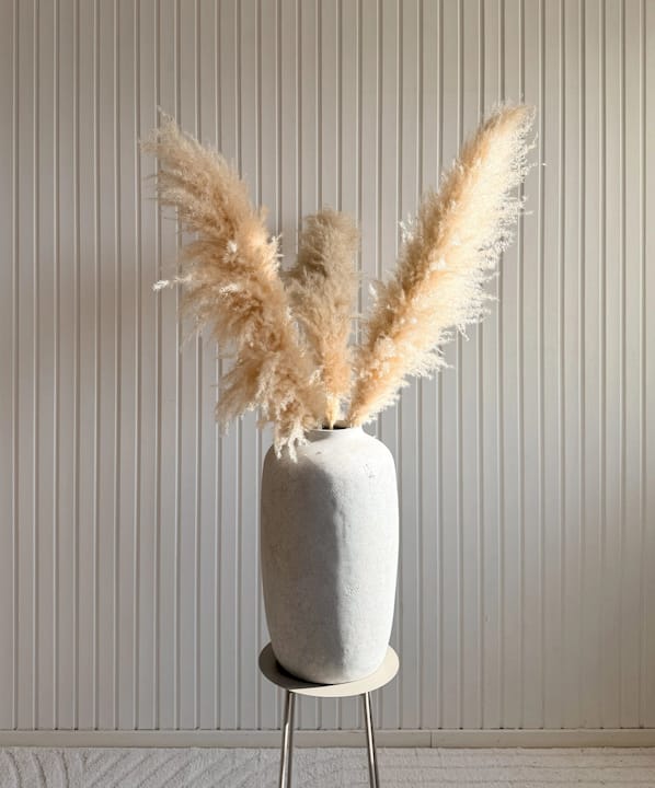 Pampasgräs 110cm