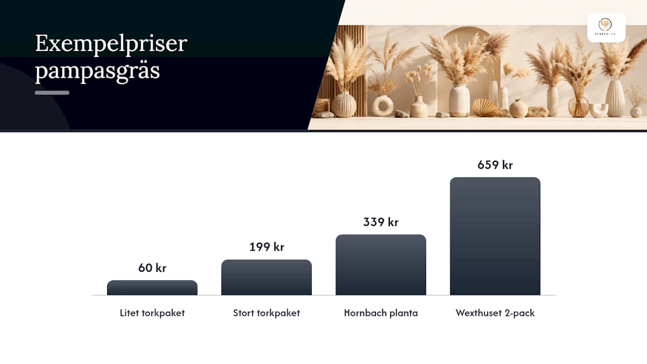 Pampasgräs pris: konkreta exempel från svenska återförsäljare — overview diagram