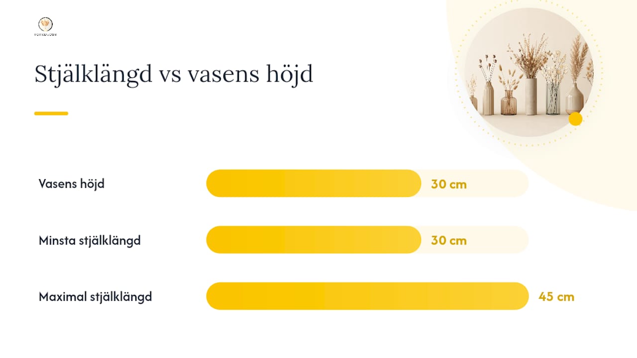 Diagram som visar rätt proportion mellan vas och stjälkar