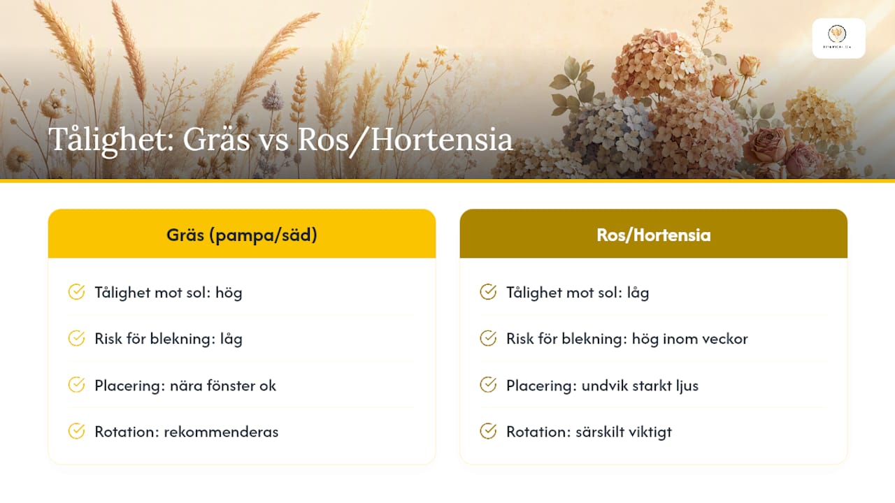 Jämförelse av soltålighet hos olika torkade material