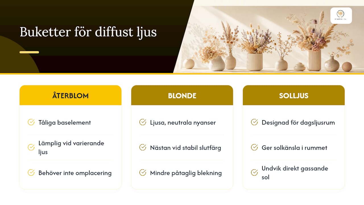 Buketter byggda för diffust ljus i din inredning — overview diagram