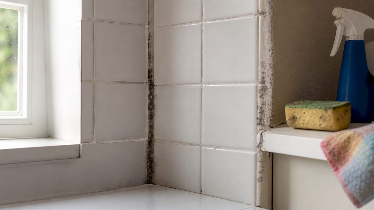 Close-up bathroom tile with mildew and mold patches
