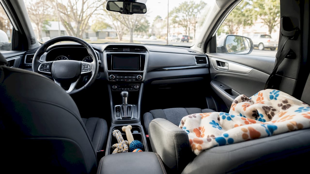 Vehicle interior showing pet carrier and vents