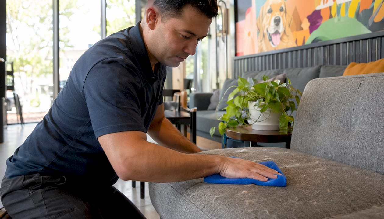 Hand cleaning sofa upholstery with pet dander visible