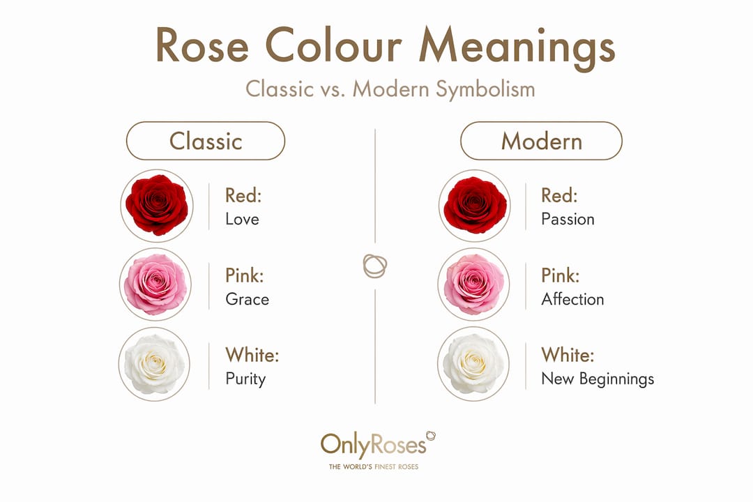 Infographic comparing classic and modern rose colour meanings