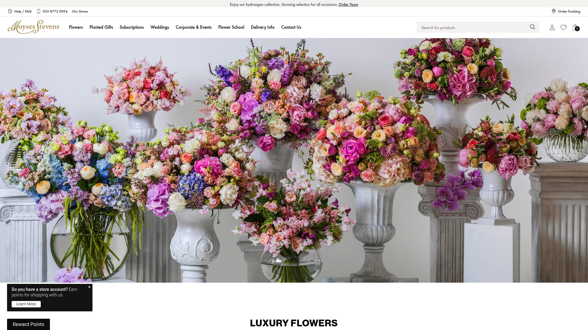 https://moysesflowers.co.uk