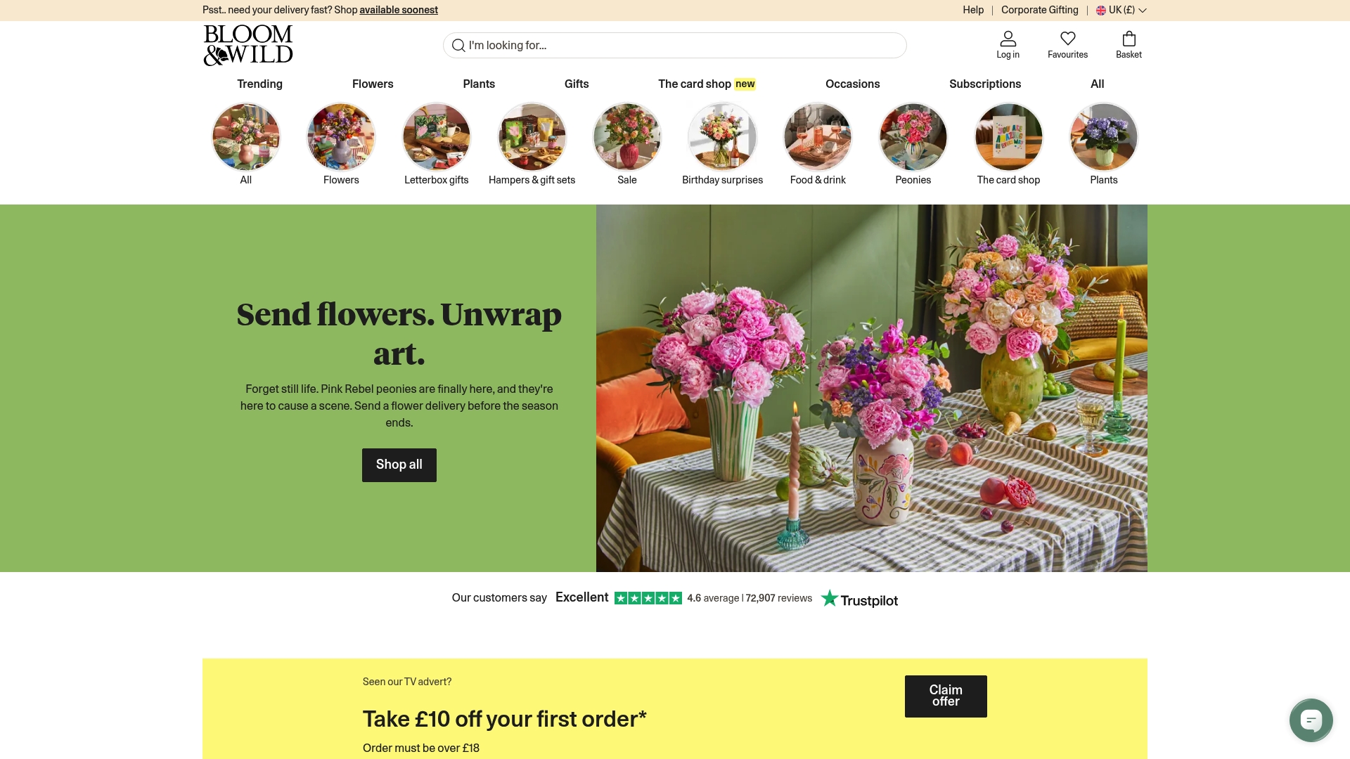 https://bloomandwild.com