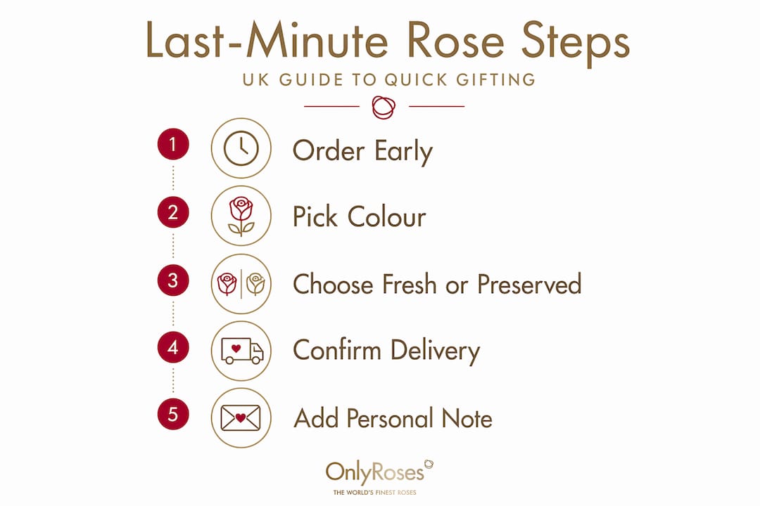 Infographic vertical steps for last-minute rose gifting