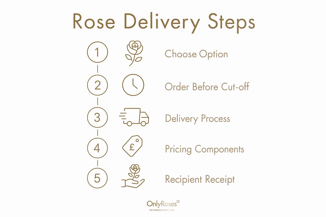 Infographic illustrating rose delivery steps and pricing