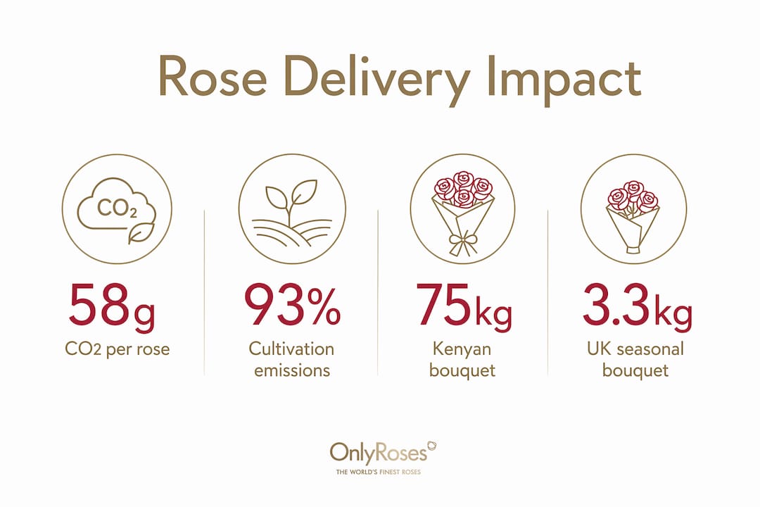 Infographic showing key carbon footprint statistics of rose delivery